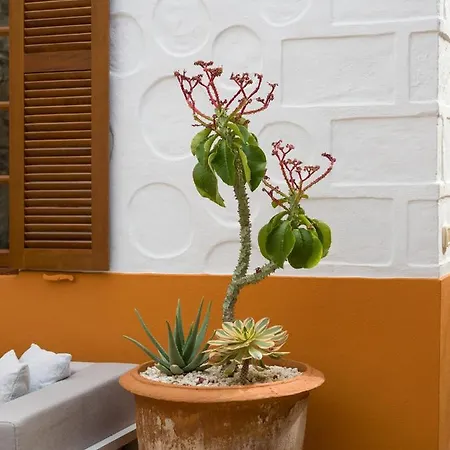 Beautiful House In Traditional Canarian Style Holiday home *